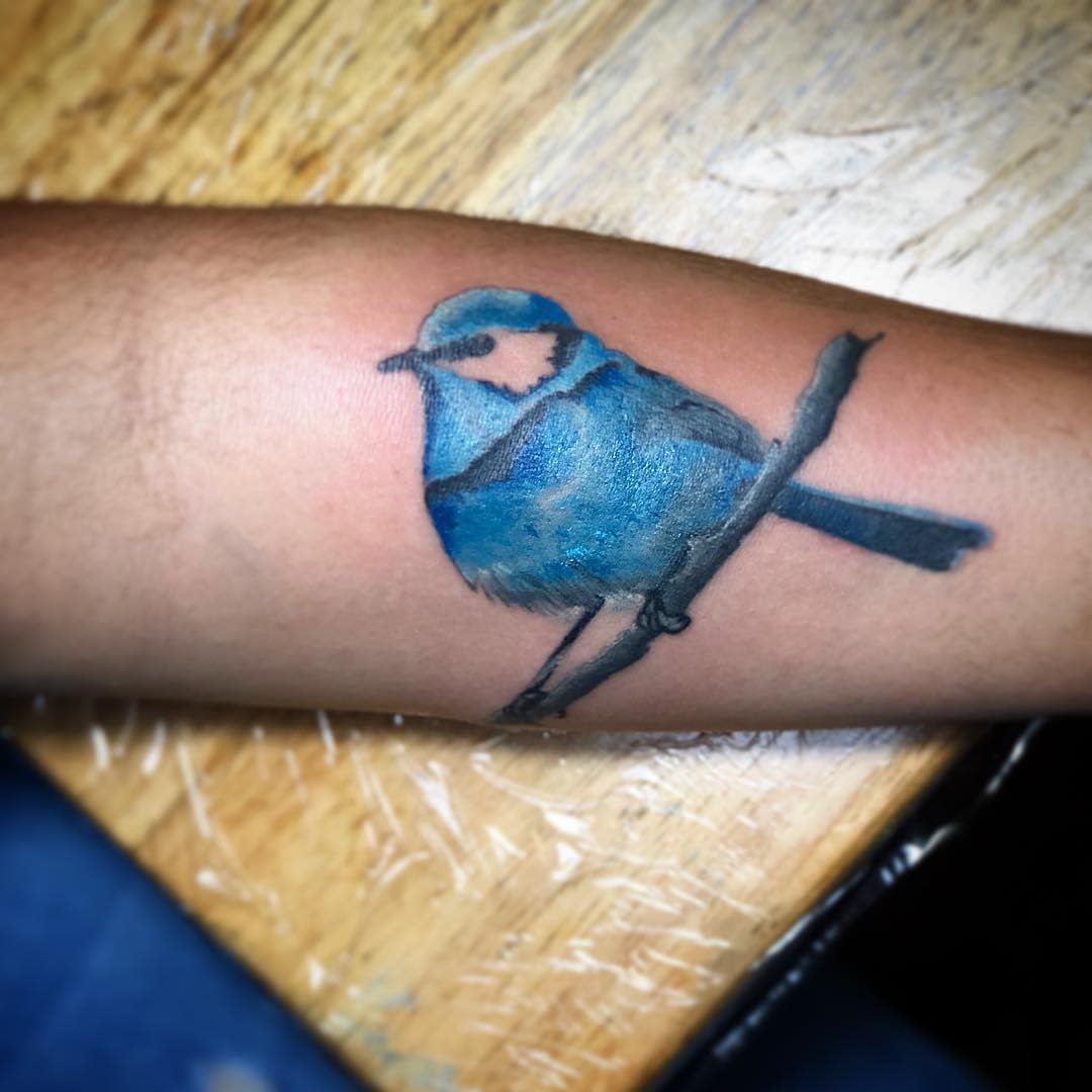 Bluebird Forearm Tattoo drawbeatz