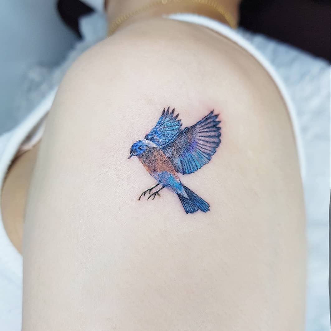 Bluebird Shoulder Tattoo boa_tattooist