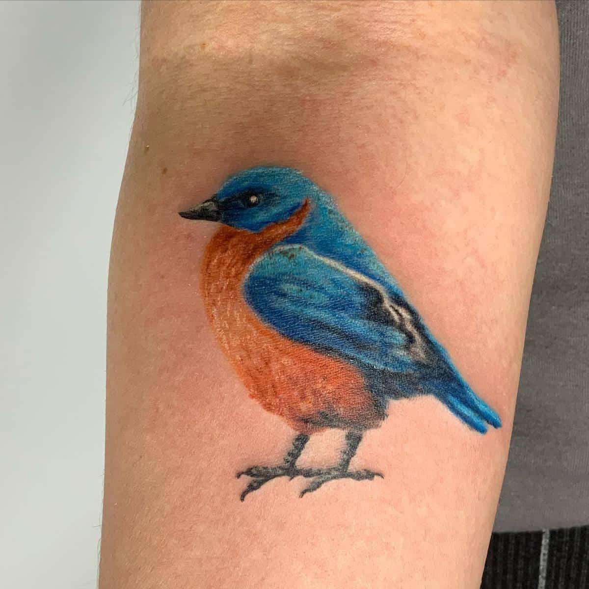 Realistic Bluebird Tattoo whiskeyweaseltattoos