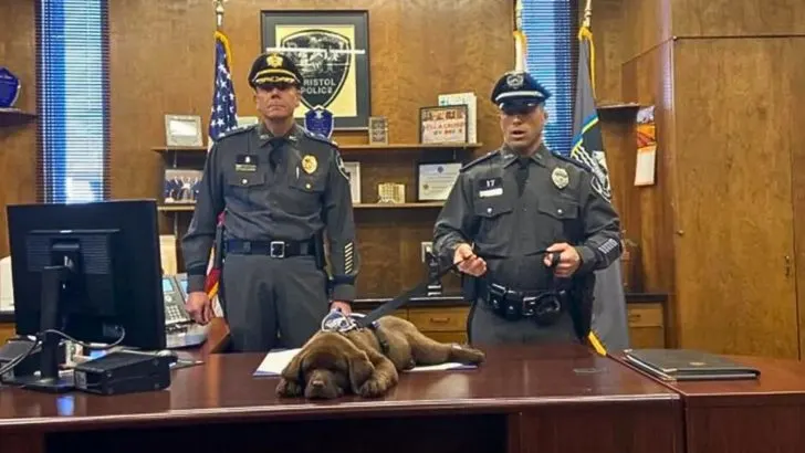 K-9 Puppy Sleeps Through His Entire Swearing-In Ceremony 