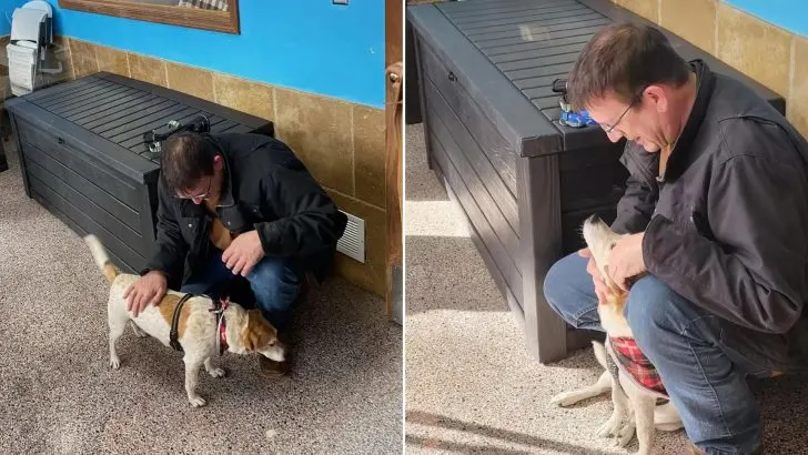 Missouri Dog Missing For 6 Years, Happily Reunited With His Family 