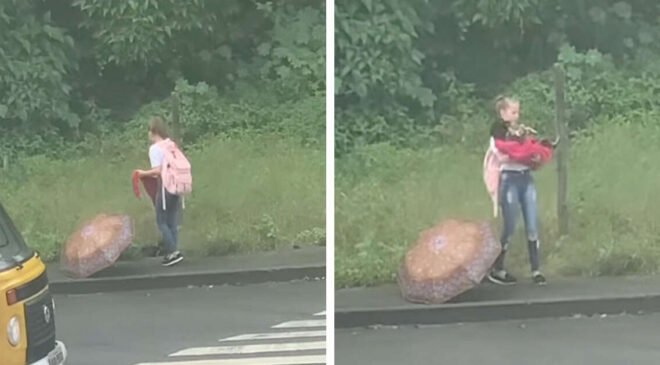 'Angel' Spotted Saving A Stray Dog On Her Way Home From School