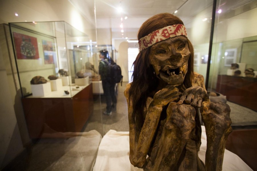 The Paracas Culture: Art, Medicine, and Mummification in Ancient Peru