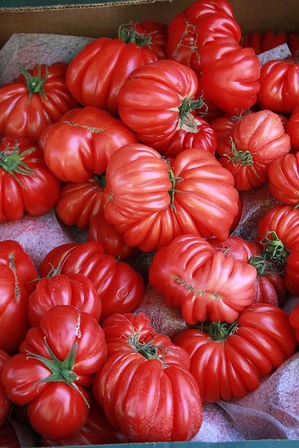 Savoring The Culinary Delight: Exploring The Unique Flavor Of Ribbed Belly Tomatoes - Nature and Life