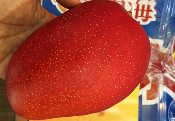 5 types of fruits with strange shapes, only found in Japan