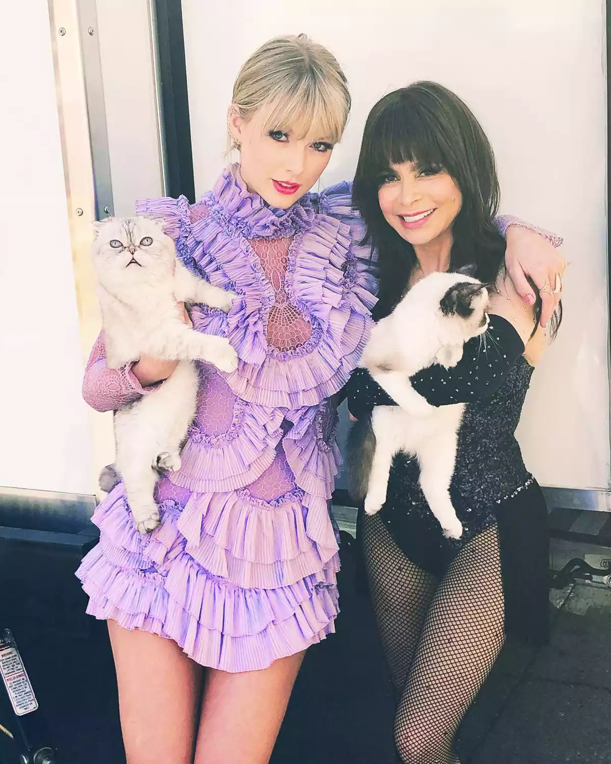 Taylor Swift cats