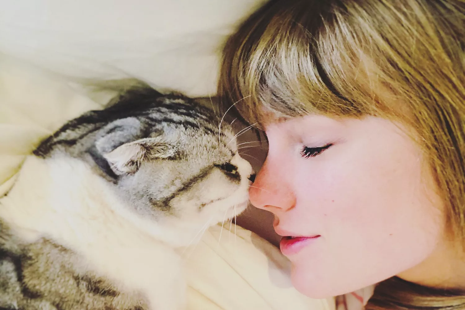 Taylor Swift cats